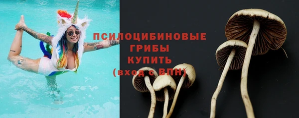 СК Абинск