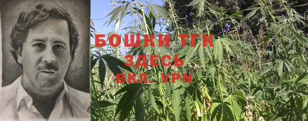 СК Абинск