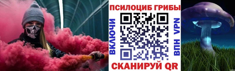 mega ТОР  Алатырь  Псилоцибиновые грибы Magic Shrooms 
