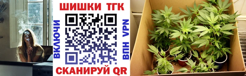 Бошки марихуана гибрид  купить наркотики сайты  Алатырь 